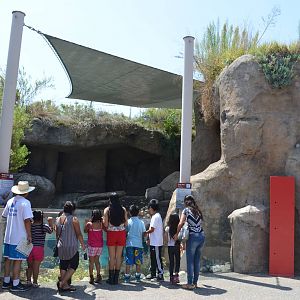 Sea Life Cliffs - Second Terrace