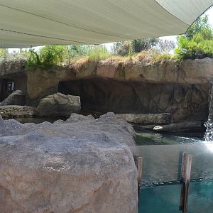 Sea Life Cliffs - Third Terrace