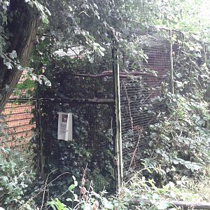 enclosure cotton-topped tamarins