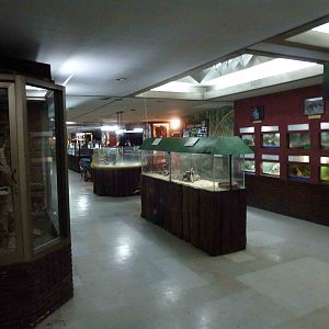 Enclosures on lower floor, June 2013.