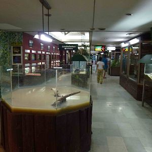 Lower floor enclosures, June 2013.