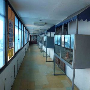 Snake vivaria, June 2013.