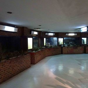 Larger enclosures, June 2013.