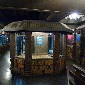 Snake enclosures, June 2013.