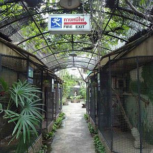 Upper floor, June 2013.
