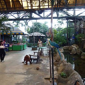 Animals as photo props - upper floor, June 2013.