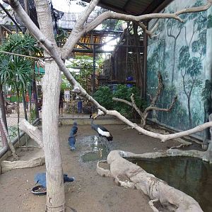 Aviary, June 2013.
