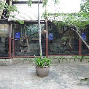 Lemur cages, June 2013.