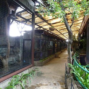 Row of cages, June 2013.