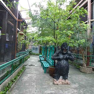 Cat cages, June 2013.