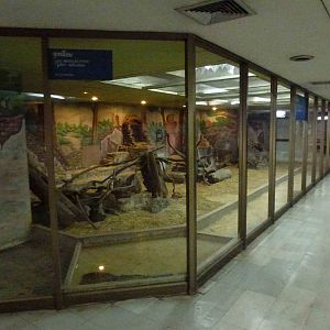 Python enclosure, June 2013.