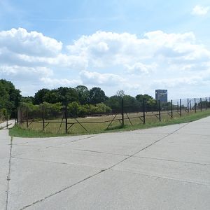 Przewalski's wild horse exhibit
