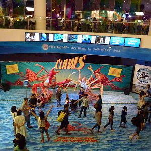 Claws in the foyer, June 2013.