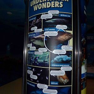 Educational comic strip, June 2013.