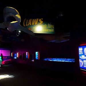 First hall - 'weird and wonderful', June 2013.