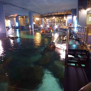 Main tank from above, June 2013.
