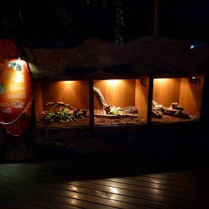 Snake vivaria, June 2013.