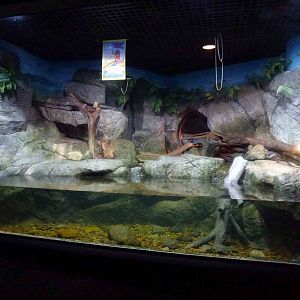 Otter enclosure, June 2013.