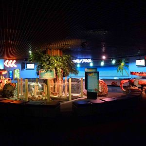 Rocky shore area, June 2013.