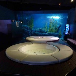 Fish foot spas, June 2013.