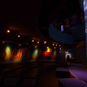 Deep reef tank and viewing area, June 2013.