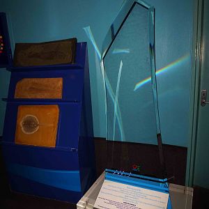 Acrylic panel sample, June 2013.