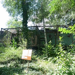 Marmoset/tamarin enclosures