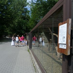 Primate enclosure