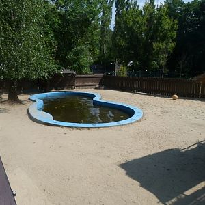 Pygmy hippo enclosure