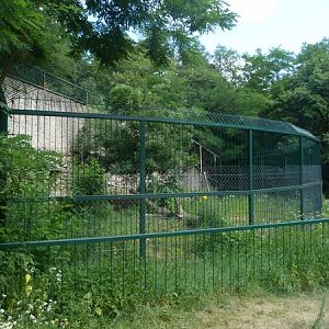 European lynx enclosure