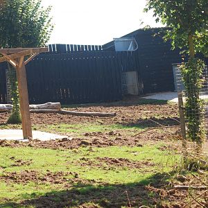 Island Dwellers mixed enclosure