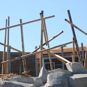 Sun bear enclosure construction
