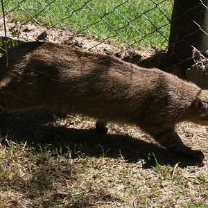 2013 Bioparque M'Bopicua