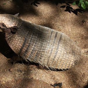 2013 Bioparque M'Bopicua