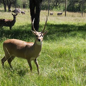 2013 Bioparque M'Bopicua