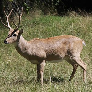 2013 Bioparque M'Bopicua