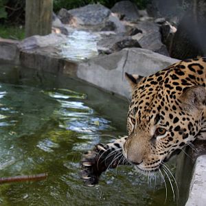 2013 Bioparque M'Bopicua