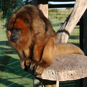 2013 Bioparque M'Bopicua