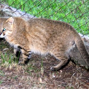 2013 Bioparque M'Bopicua