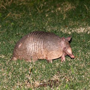 2013 Bioparque M'Bopicua