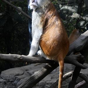 2013 Chapultepec Zoo