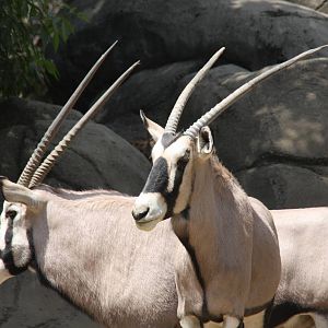 2013 Chapultepec Zoo