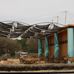 2013 Chapultepec Zoo