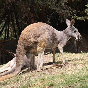 2013 Chapultepec Zoo
