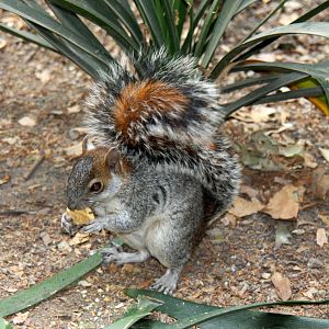 2013 Chapultepec Zoo