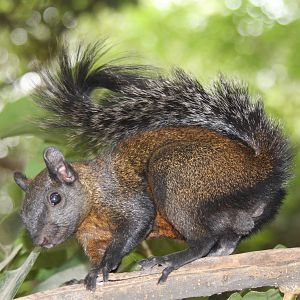 2013 Chapultepec Zoo