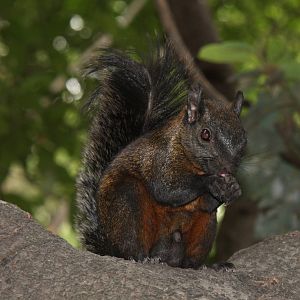 2013 Chapultepec Zoo