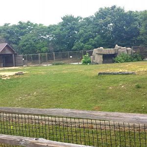 Hoofed Animals - First Bactrian Camel Exhibit