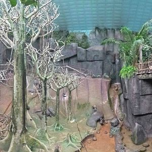 Tropic World - Africa