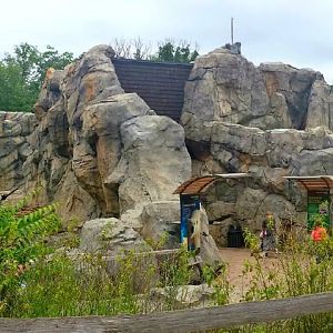 Great Bear Wilderness - Grizzly + Polar Bear Exhibits
